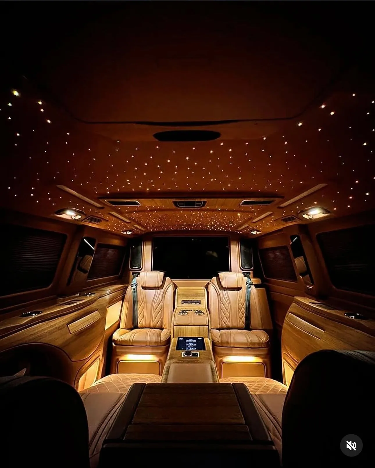 Zeus VIP Transfer vito iç mekan