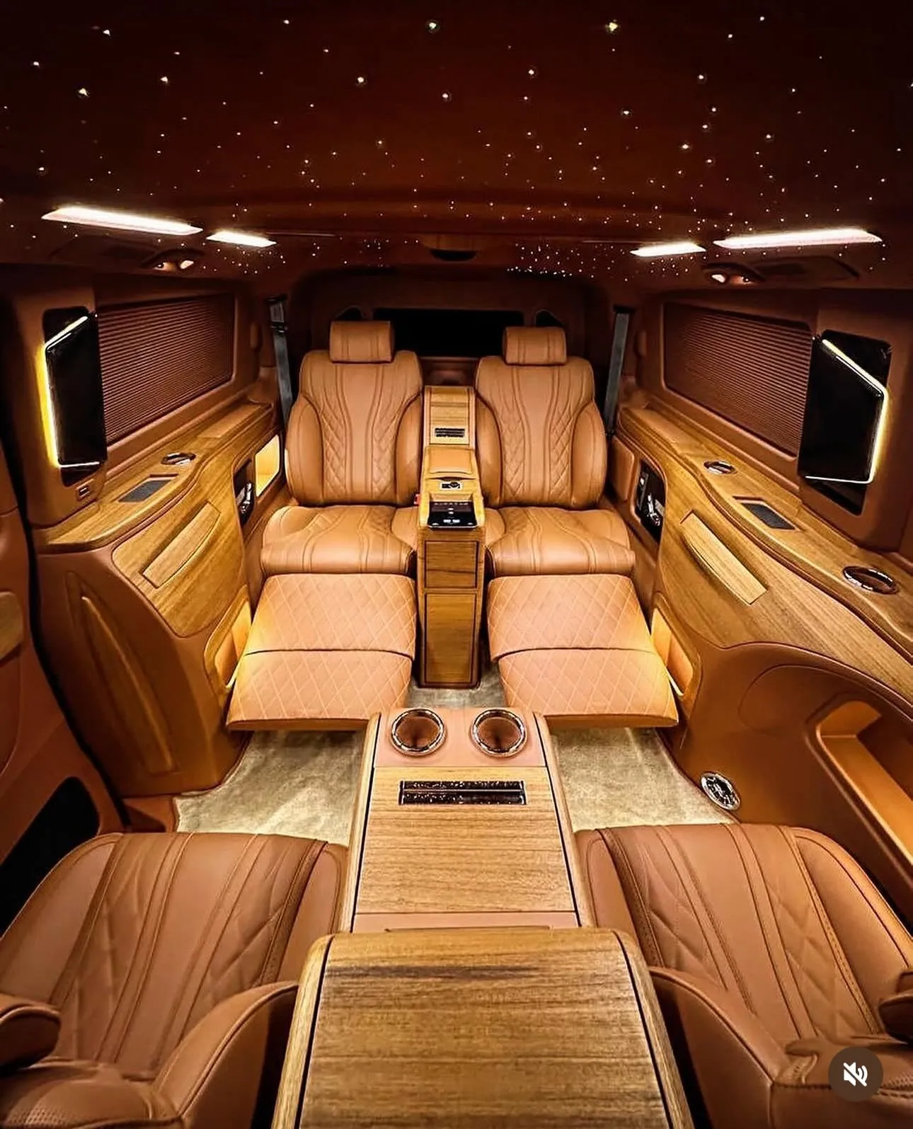 Zeus VIP Transfer vito iç mekan