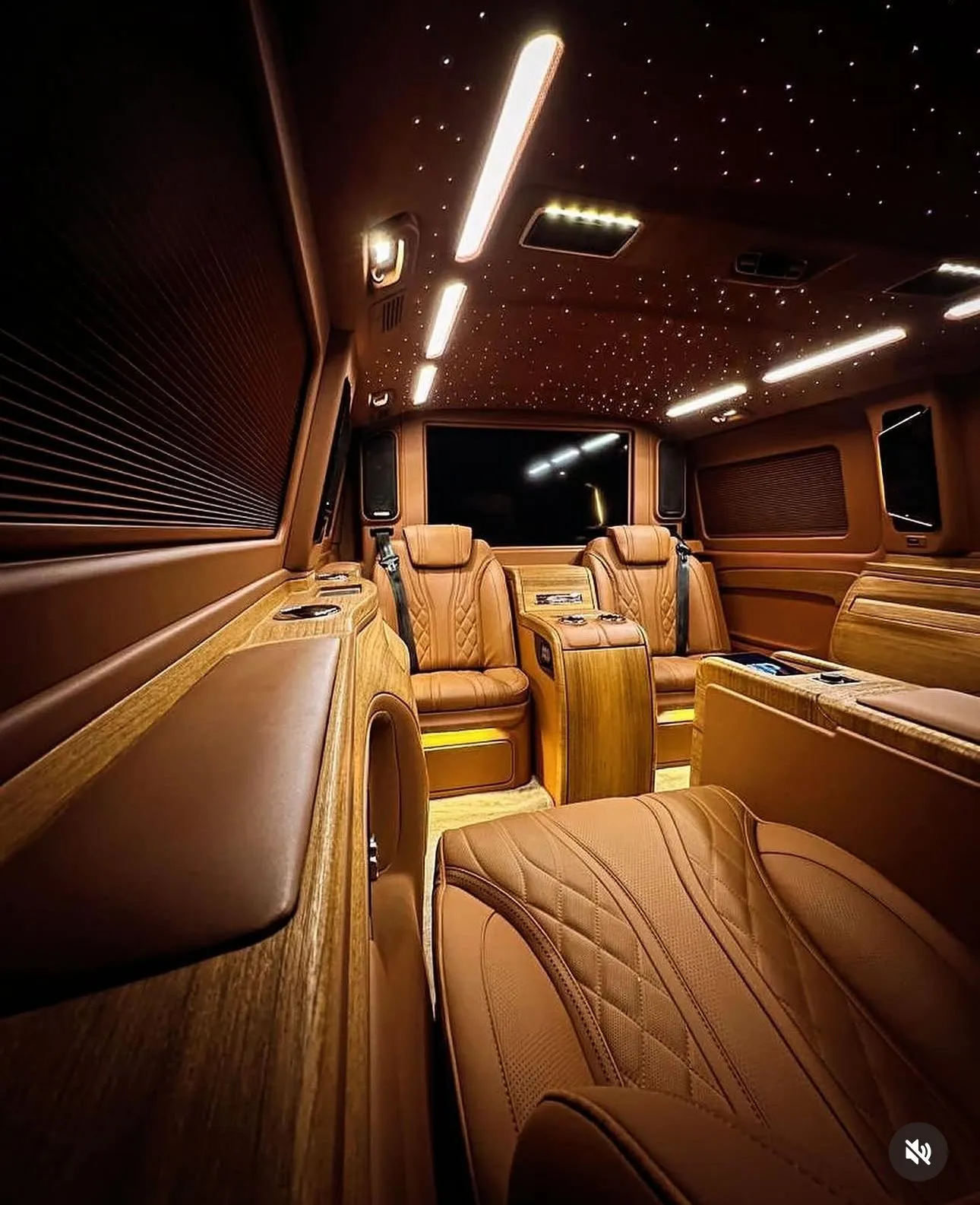 Zeus VIP Transfer vito iç mekan