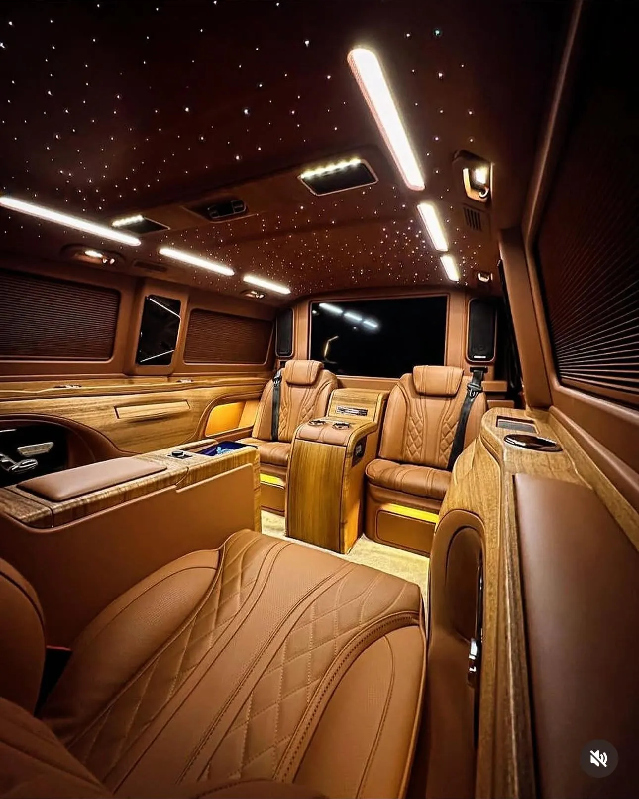 Zeus VIP Transfer vito iç mekan