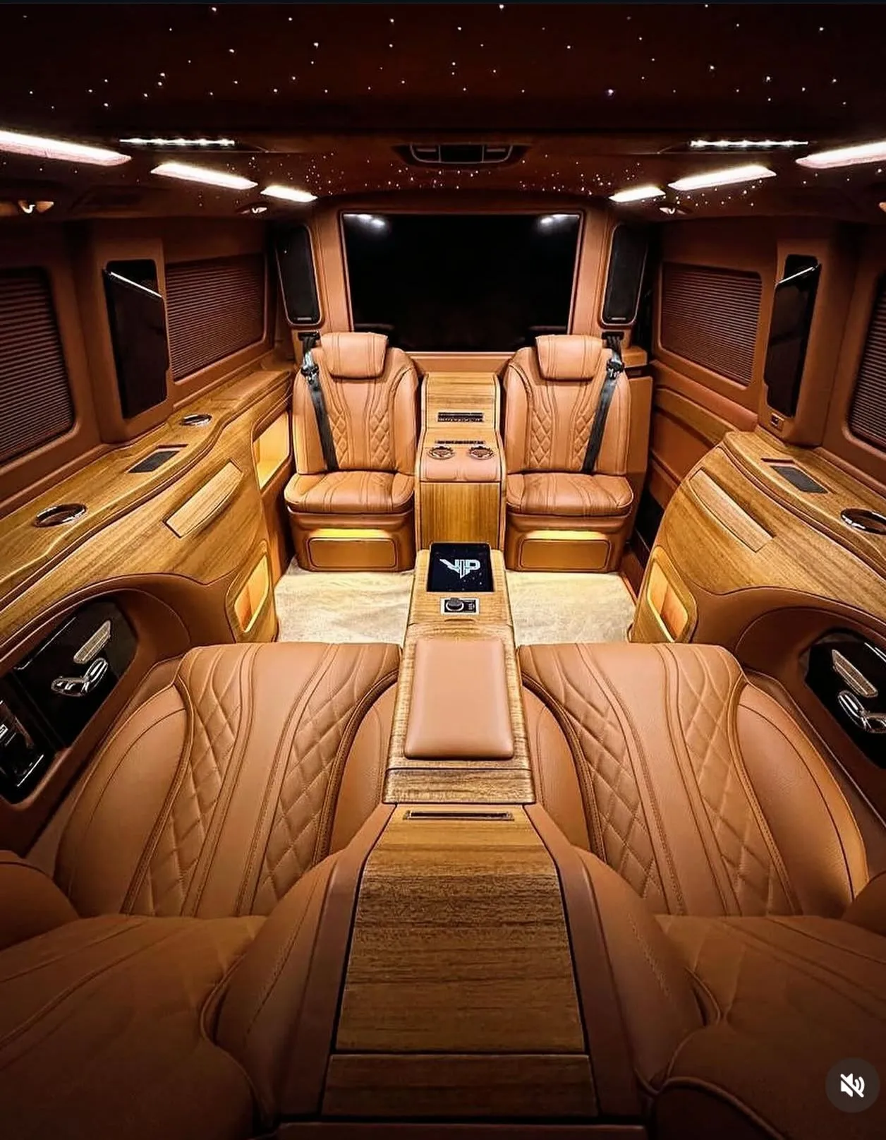 Zeus VIP Transfer vito iç mekan